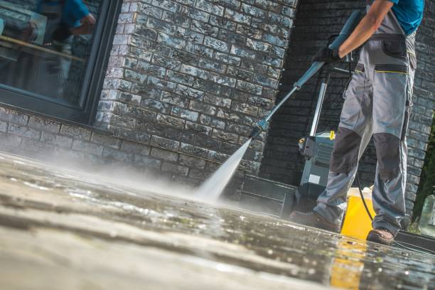 Best Animal Enclosure Cleaning  in Vonore, TN